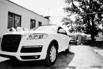 Bild på Wedding cortege